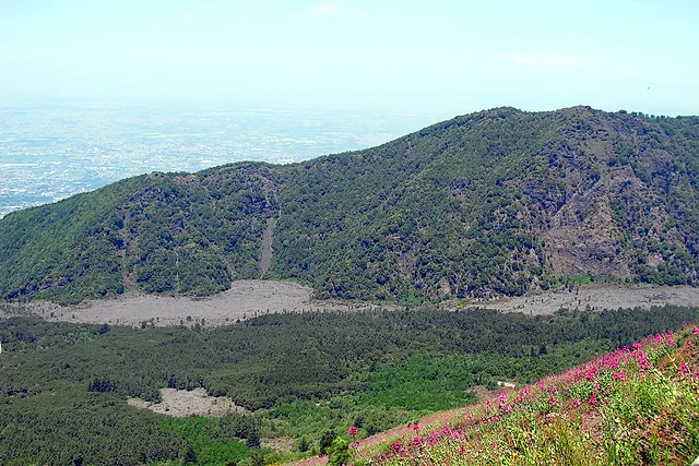 La colada de lava gris de la erupción de 1944 entre bosques y valeriana roja en las laderas del Vesubio